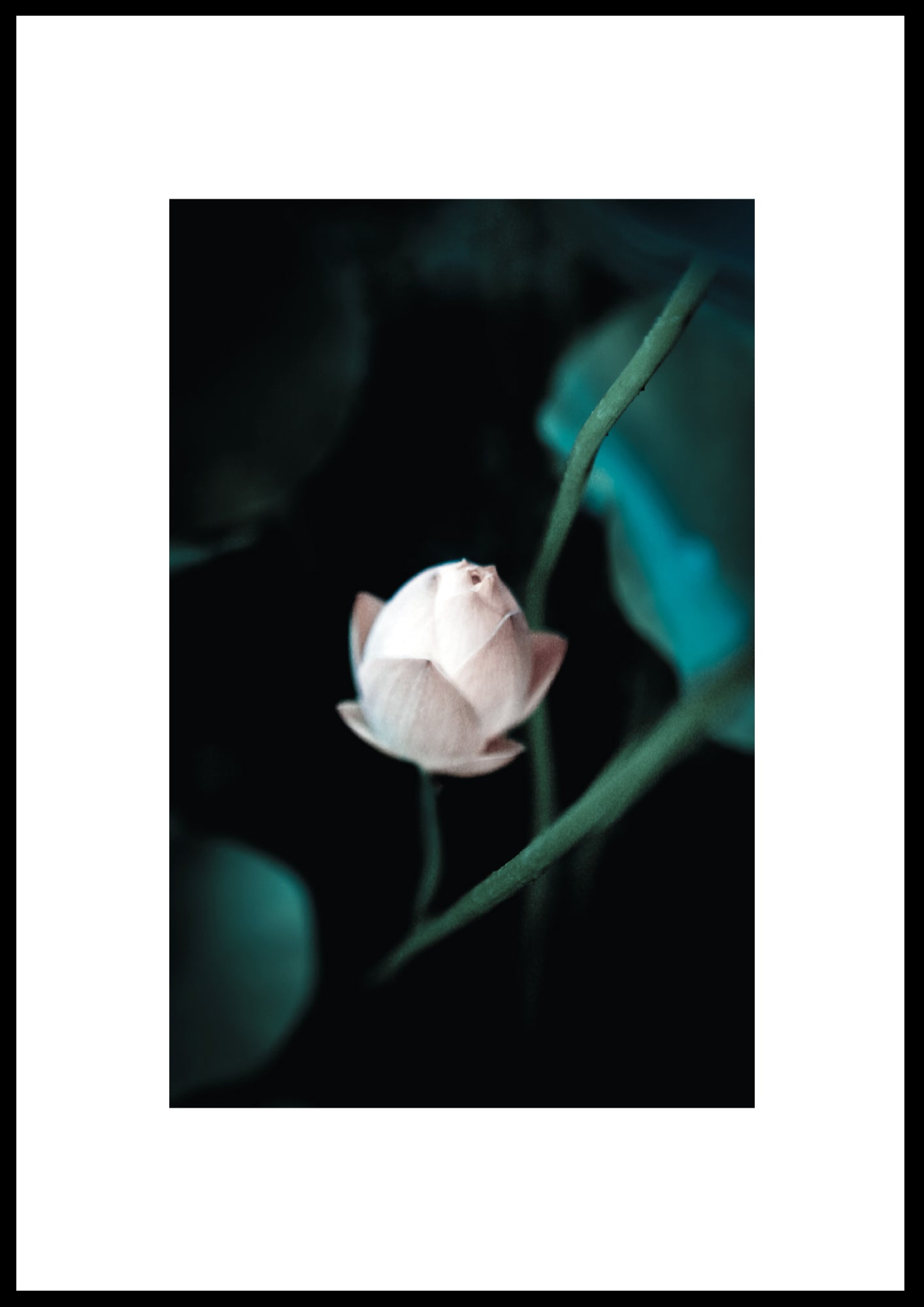 FLOWER 01