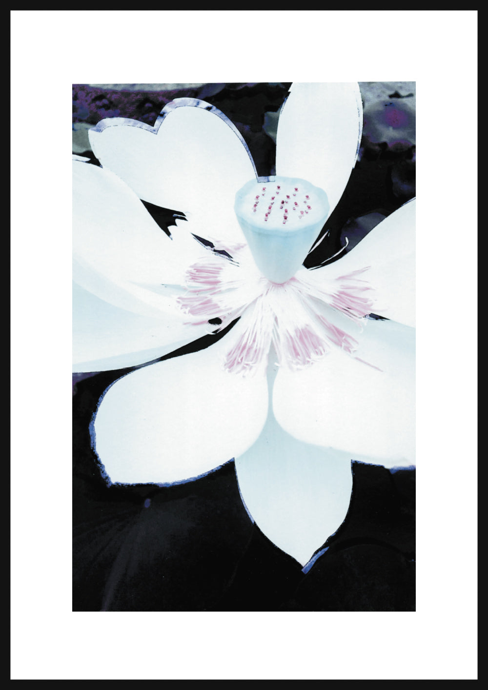 FLOWER 03
