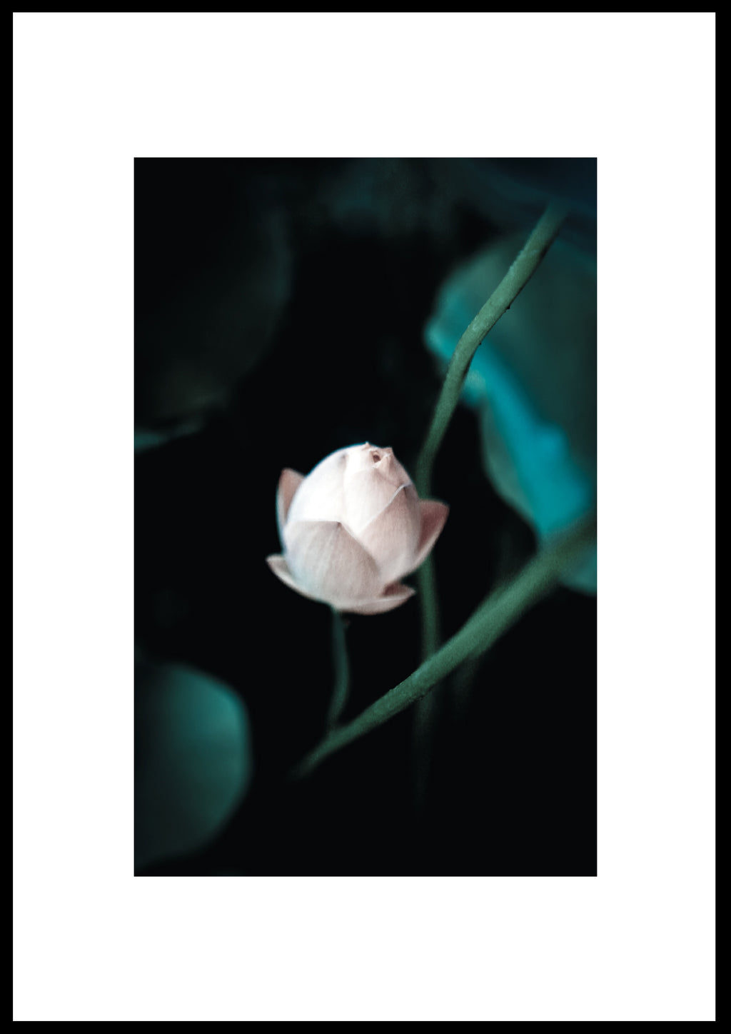FLOWER 01