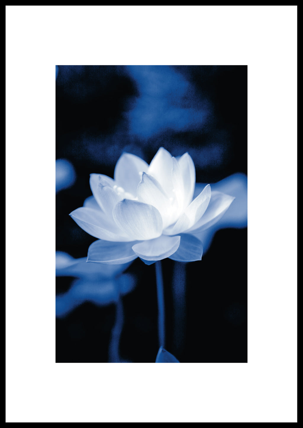 FLOWER 02