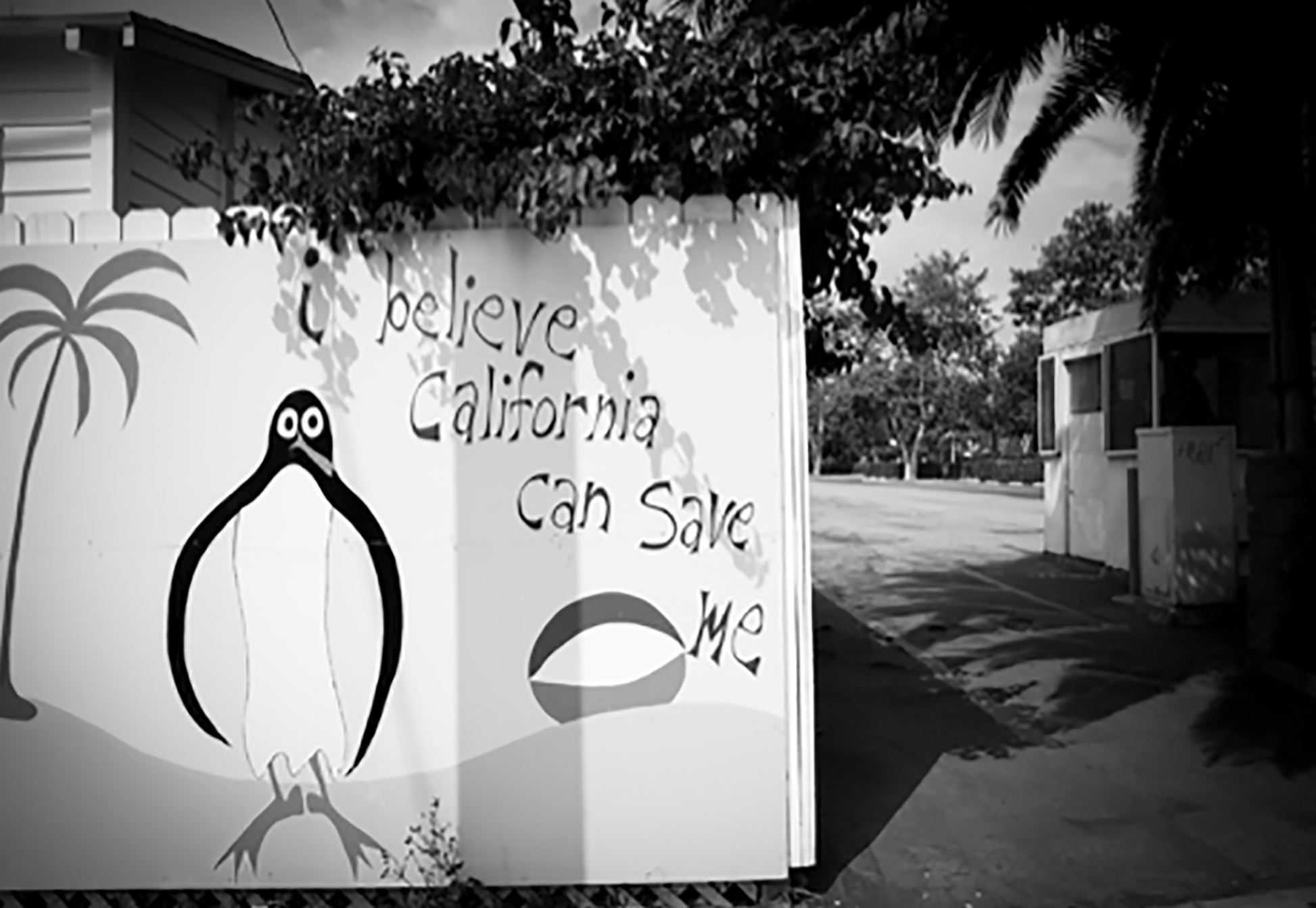 “Penguin in California”  TEE