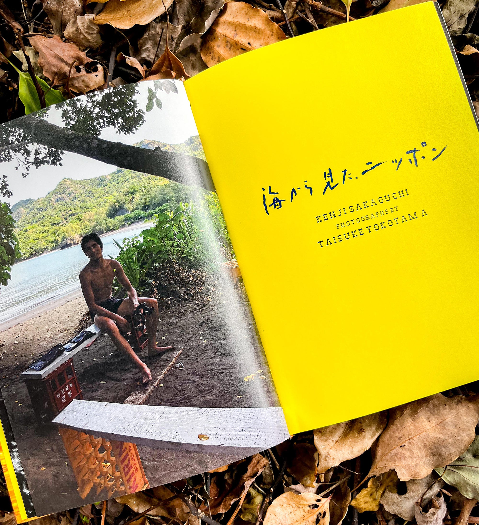 海から見たニッポン – TAISEYE